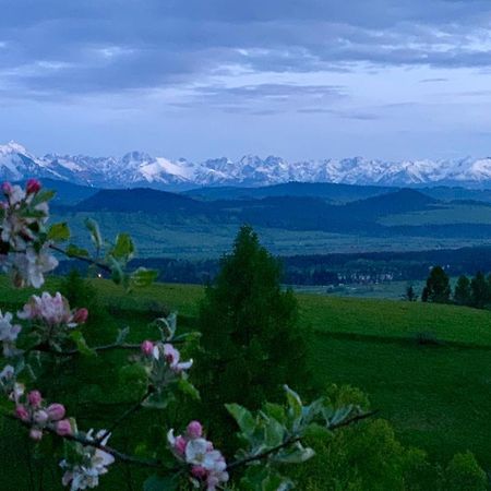Koza U Woza Wypocznij W Gorach W Rytmie Slow Drewniany Dom Premium Z Widokiem Na Panorame Tatr Ecospa Strefa Fitness Zielona Farma Warsztaty (Adults Only) Szlembark 外观 照片