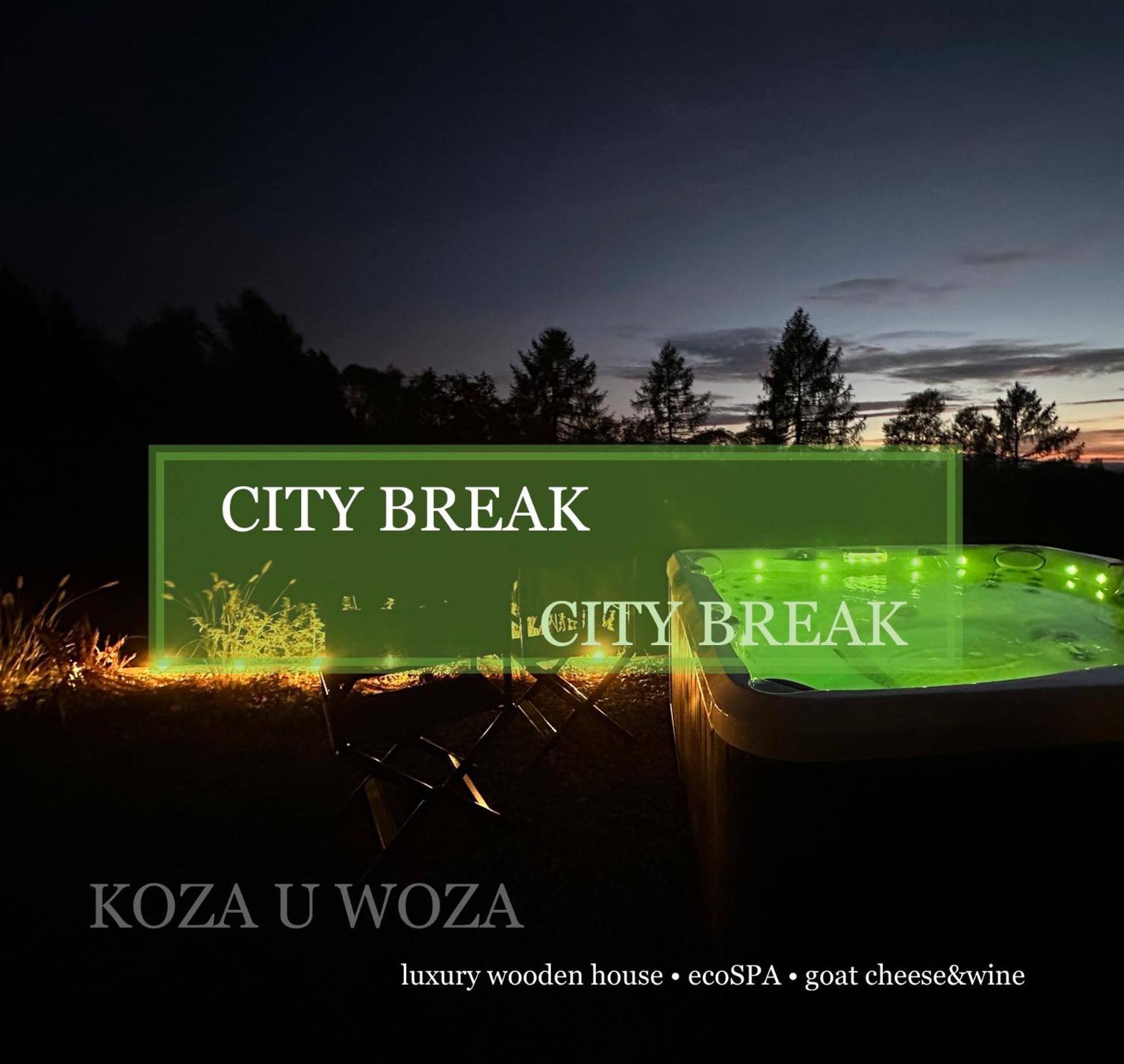 Koza U Woza Wypocznij W Gorach W Rytmie Slow Drewniany Dom Premium Z Widokiem Na Panorame Tatr Ecospa Strefa Fitness Zielona Farma Warsztaty (Adults Only) Szlembark 外观 照片